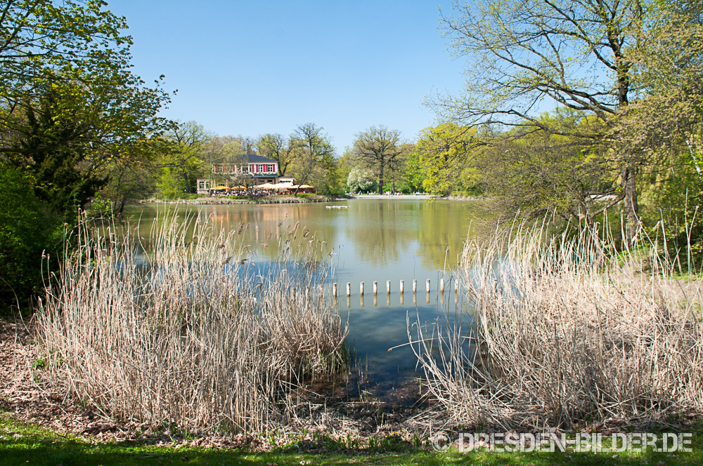 Großer Garten & Zoo DresdenBilder.de