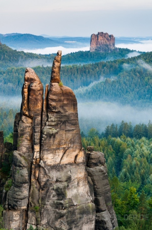 Brosinnadel & Falkenstein