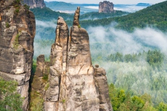 Brosinnadel mit Falkenstein