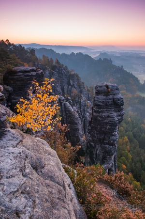 Herbst am Höllenhund