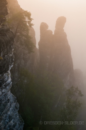 Zitronenkopf