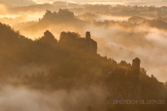 Feldsteine im Morgennebel