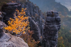 Herbst am Höllenhund