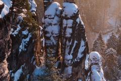 Winter am Zitronenkopf