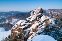 Westlicher Feldkopf im Winter