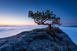 Blaue Stunde auf dem Lilienstein