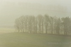 1_DSC_3756