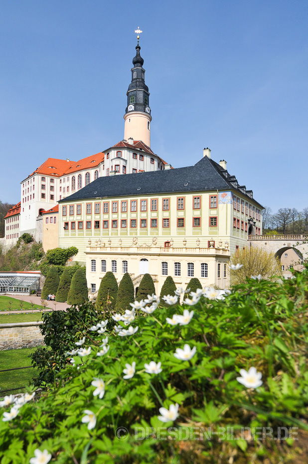 Frühling am Schloss Weesenstein