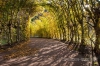 Herbst im Park