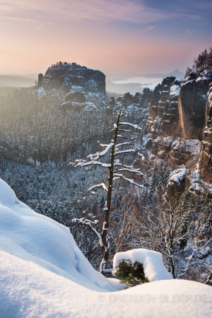 Rauschenstein im Winterkleid