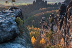 Letztes Licht am Lehnsteig