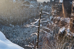 Rauschenstein im Winterkleid