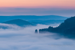 Nebel im Kirnitzschtal