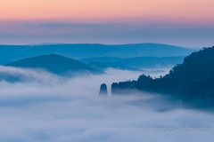 Nebel im Kirnitzschtal