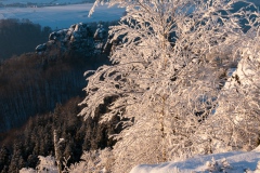 Verschneite Winterlandschaft