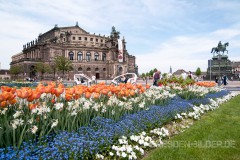 Semperoper