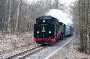 DSC_8196